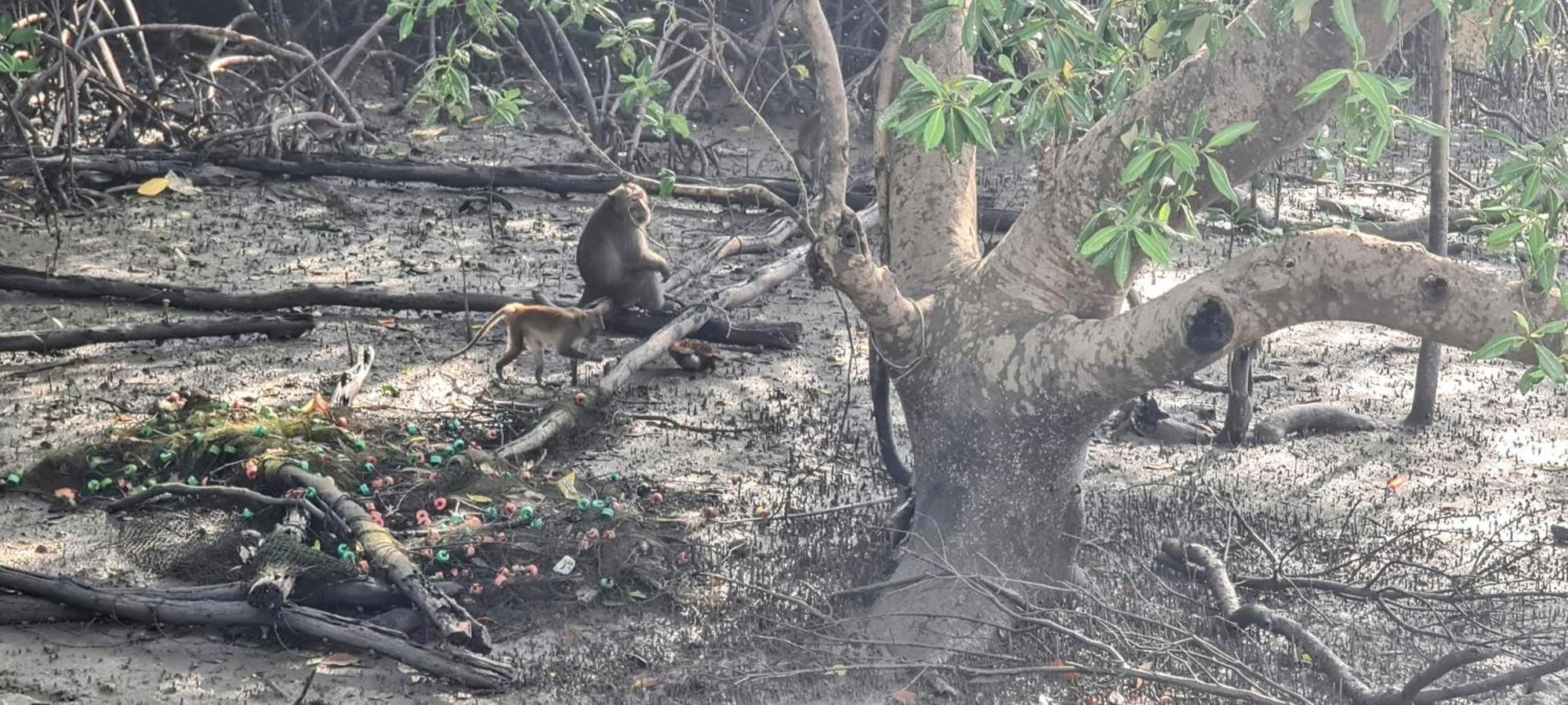 Phang Nga Bay Khanittha Homestay Ban Khiam Kültér fotó