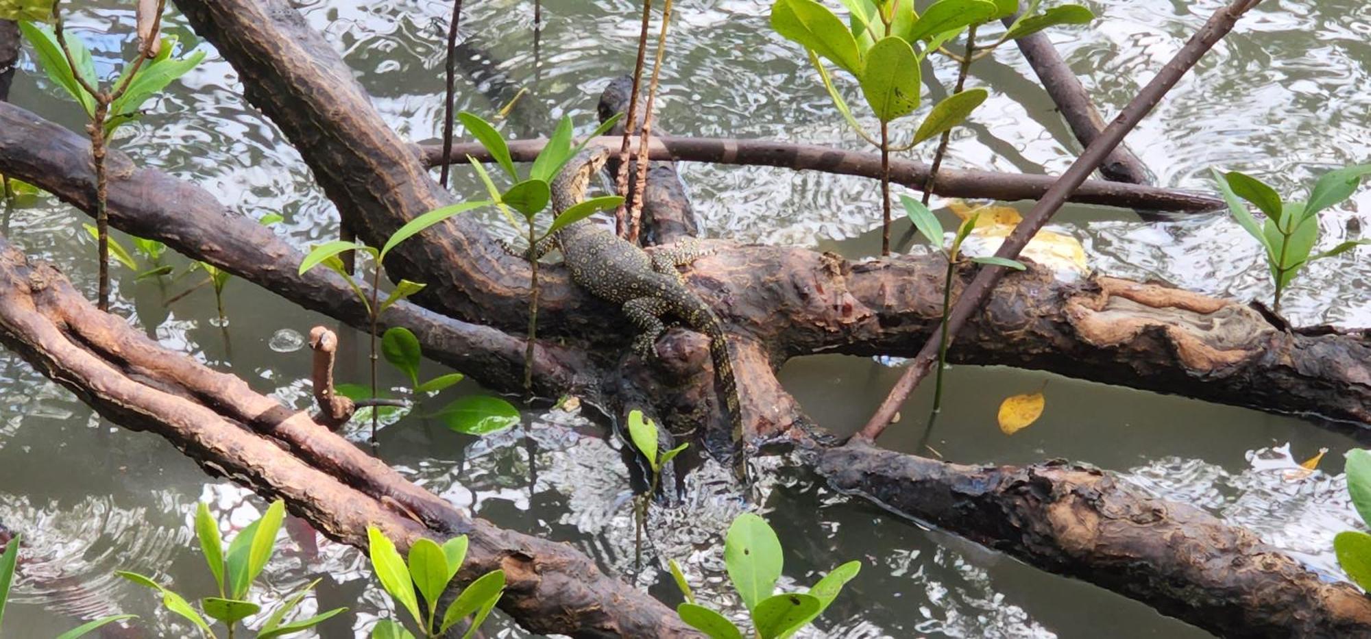 Phang Nga Bay Khanittha Homestay Ban Khiam Kültér fotó